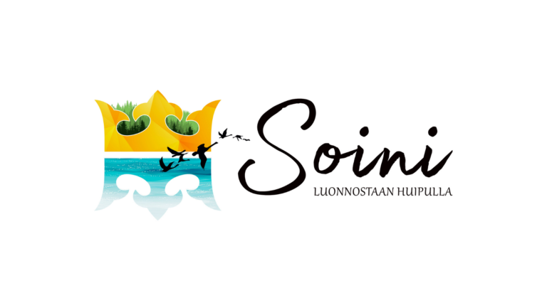 Soinin logo